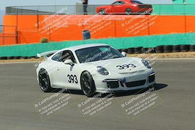 media/Mar-01-2025-PCA San Diego (Sat) [[5e16125359]]/Red/Red Session 4 Turn 5/